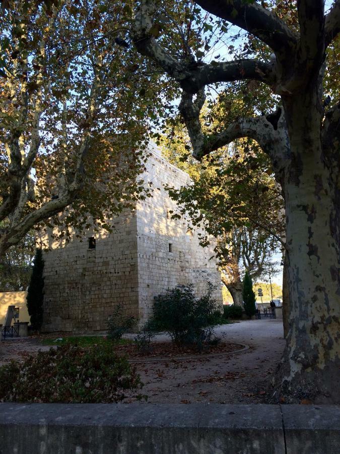 Villa La maison de Lara à Arles Extérieur photo